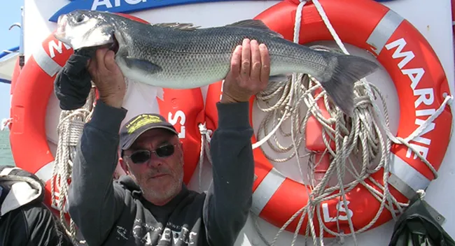 Un bar pêché lors d'une sortie