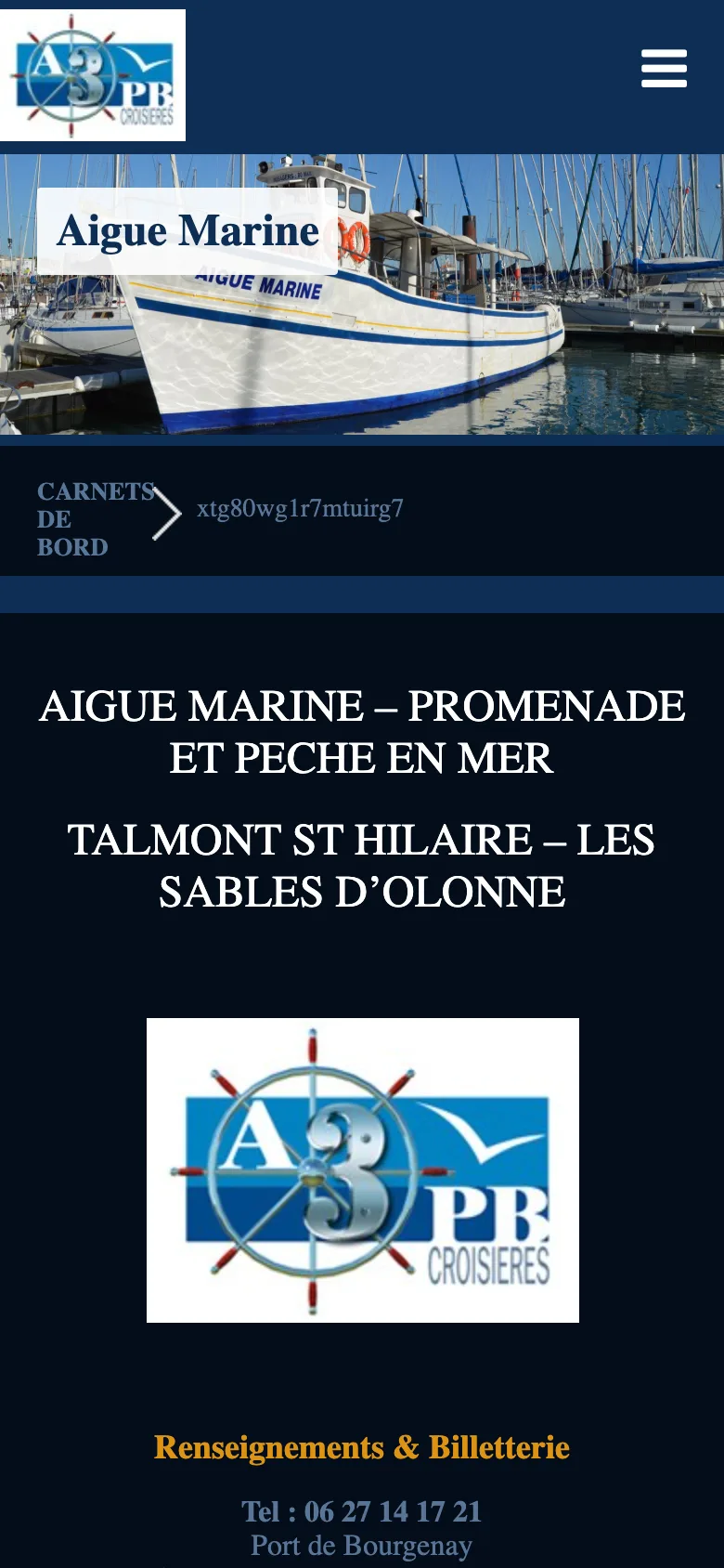 Capture mobile du site actuel : bloc « Carnets de bord » avec une chaîne de caractères illisible
