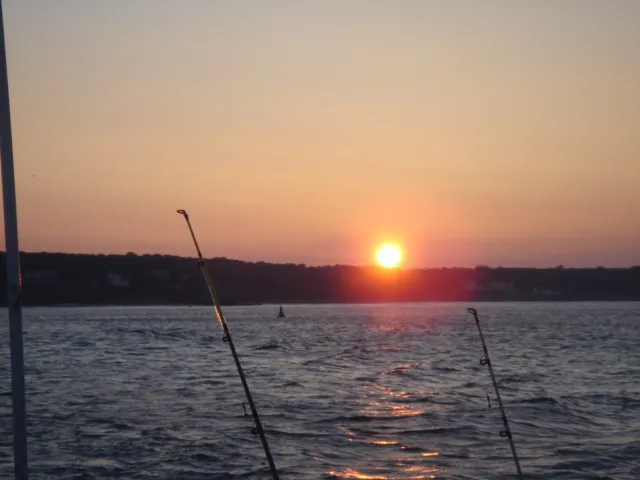 Cannes à pêche à contre-jour sur la mer